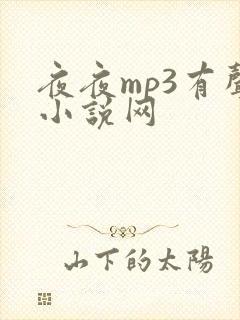 夜夜mp3有声小说网
