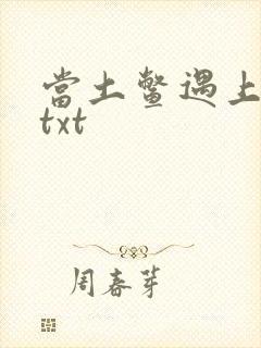 当土鳖遇上海龟txt