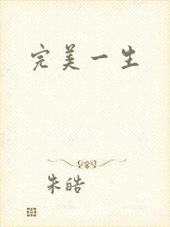 完美一生
