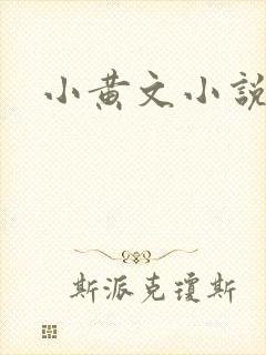 小黄文小说