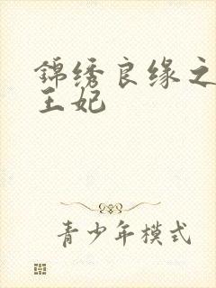 锦绣良缘之北地王妃