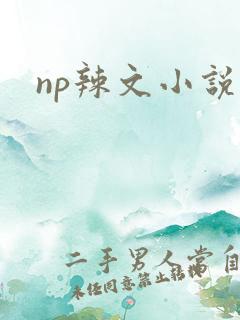 np辣文小说