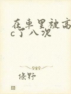 在车里被高潮被c了八次