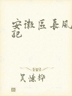 安徽区长风流日记