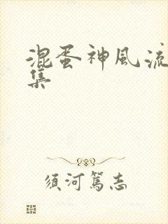 混蛋神风流史全集