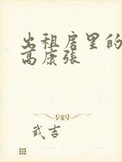 出租房里的交互高康张