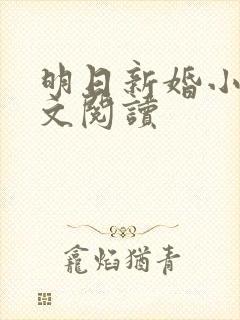明日新婚小说全文阅读