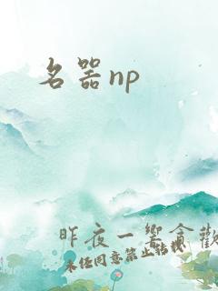 名器np