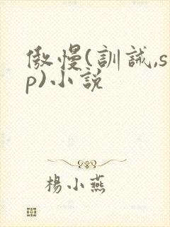 傲慢(训诫,sp)小说