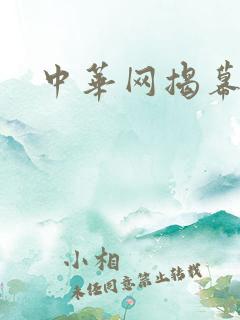 中华网揭幕内参