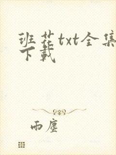 班花txt全集下载