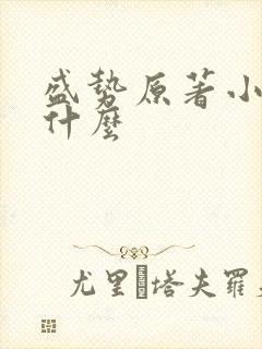 盛势原著小说叫什么