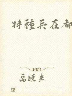 特种兵在都市