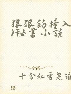 狠狠的撞入(h)秘书小说