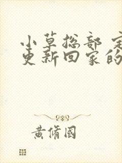 小草总部 定期更新回家的路