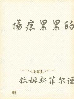 伤痕累累的勋章