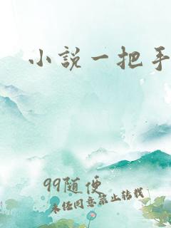 小说一把手