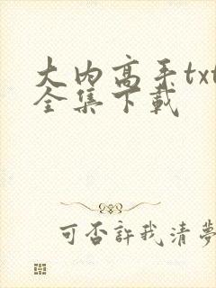 大内高手txt全集下载