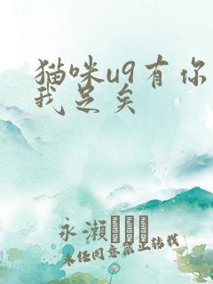 猫咪u9有你有我足矣
