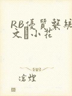 RB优质系统全文寀小花