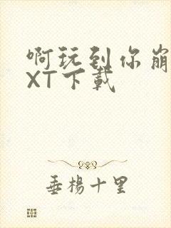 啊玩到你崩溃TXT下载