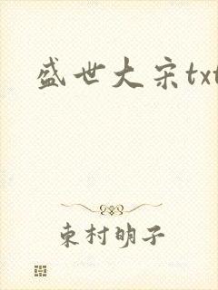 盛世大宋txt