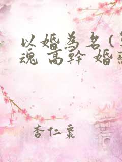 以婚为名 (军魂 高干 婚恋)