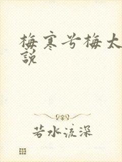 梅寒兮梅太颜小说