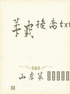 茅山后裔txt下载