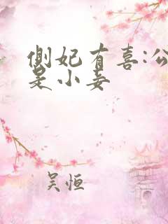 侧妃有喜:公主是小妾