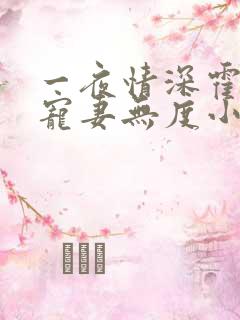 一夜情深霍先生宠妻无度小说免费阅读