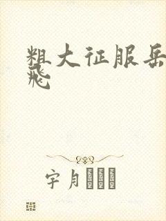 粗大征服岳女双飞