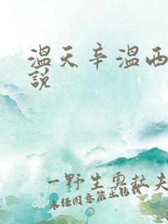 温天辛温西离小说