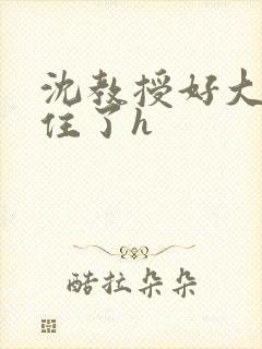 沈教授好大含不住了h