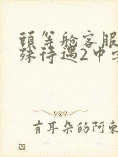 头等舱客服的特殊待遇2中字