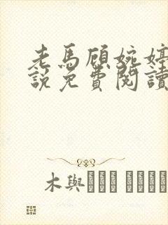 老马顾婉婷的小说免费阅读