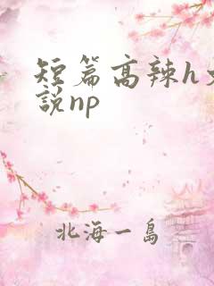 短篇高辣h文小说np