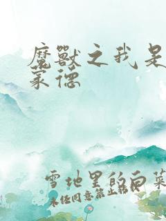 魔兽之我是阿克蒙德