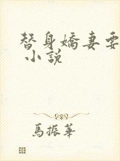 替身娇妻要离婚 小说