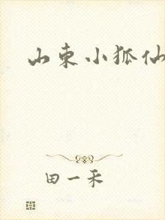 山东小狐仙
