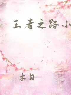 王者之路小说