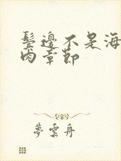 鬓边不是海棠红肉章节