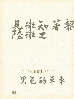 见微知著黎见卿陆微之