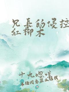 兄长的侵控by红柳木