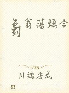 色翁荡熄合集系列