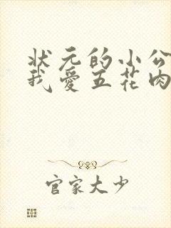 状元的小公主(我爱五花肉)