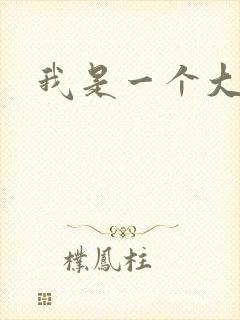 我是一个大盗贼