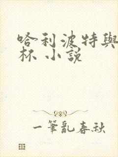 哈利波特与火焰杯 小说