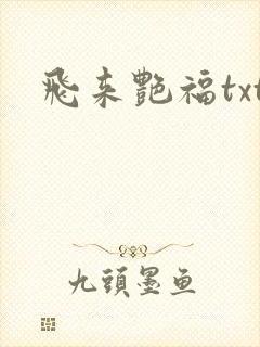 飞来艳福txt