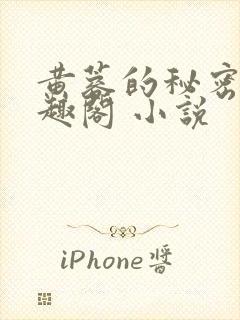 黄蓉的秘密 笔趣阁 小说